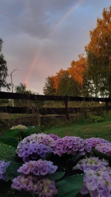 Poggenhagen Urlaub Mitten In Der Natur Neustadt am Rübenberge Екстериор снимка